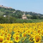 Percorsi di Trekking nei Monti Sibillini