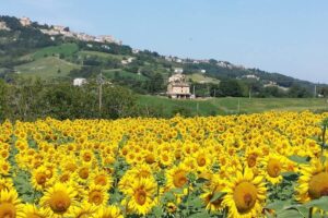 Percorsi di Trekking nei Monti Sibillini